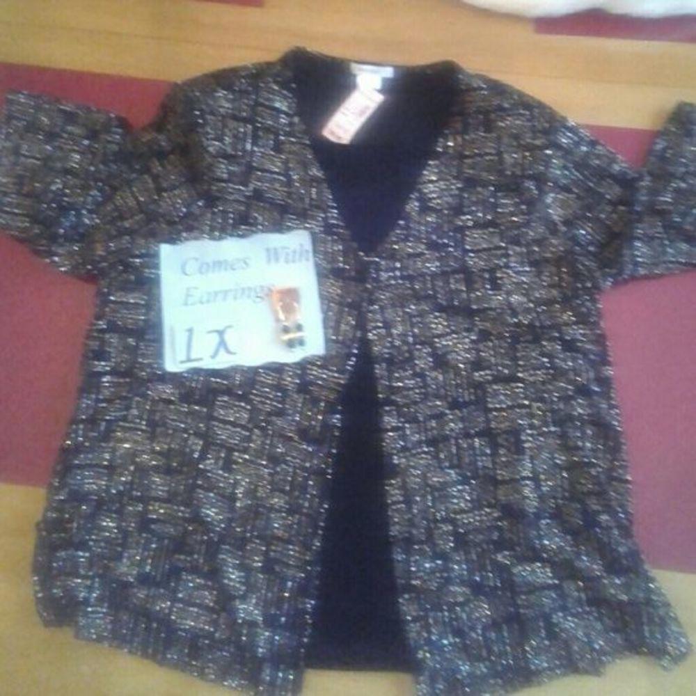 Glitzy Gold Silver Top XL & Earrings Dressbarn